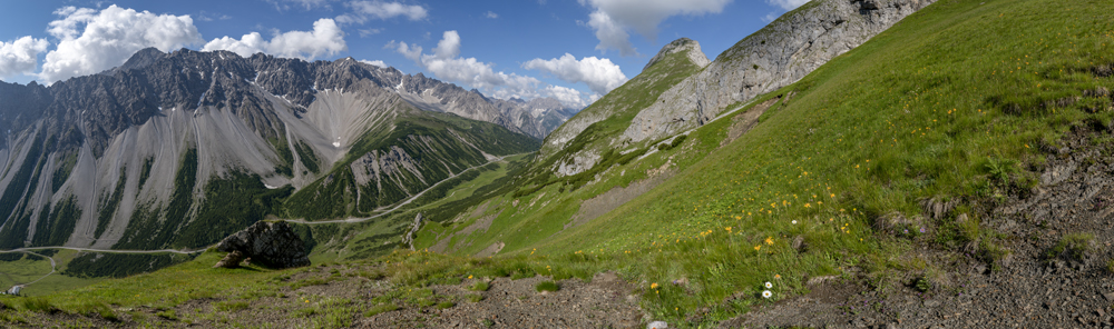 Preview Lechtaler Alpen Alpenblumen.jpg